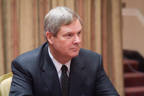 ABD Tarım Bakanı Tom Vilsack
