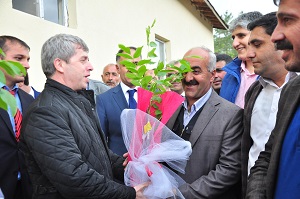 Bitlis'te 30 bin adet sertifikali ceviz fidani dagitildi
