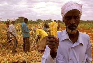 Kenyalı çiftçiler/Foto: Allie Wist