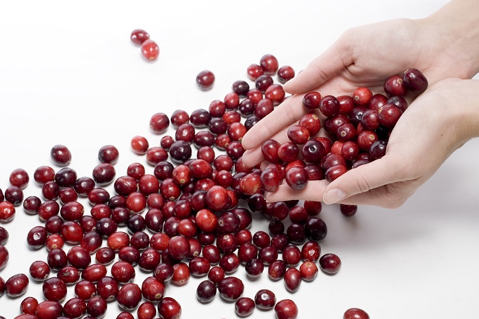 Cranberrynin (turna yemişi) sağlık üzerindeki gücü, kısmen ikinci bitki maddelerinin ve antioksidanların meyvede bol miktarda bulunmasından geliyor.  