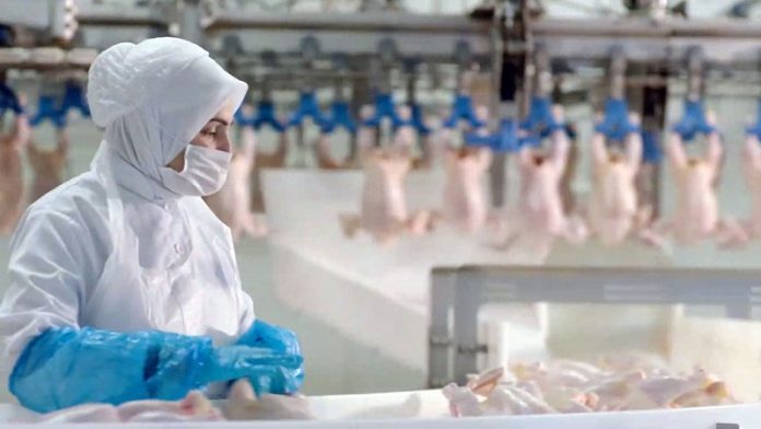 BESD-BİR: Beyaz et sektöründe kadın istihdam oranı Türkiye ortalamasının üzerinde