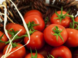 Ermenistan, Türkiye'den 1,7 milyon ton domates ithal etti