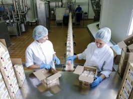Küresel gıda fiyatları artmaya devam ediyor / Rusya Federasyonu’nda tereyağı paketlerken. Fotoğraf: ©FAO/Maxim Zmeyev