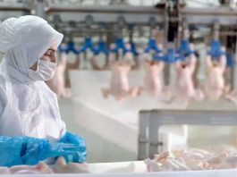 Beyaz et üretimi arttı